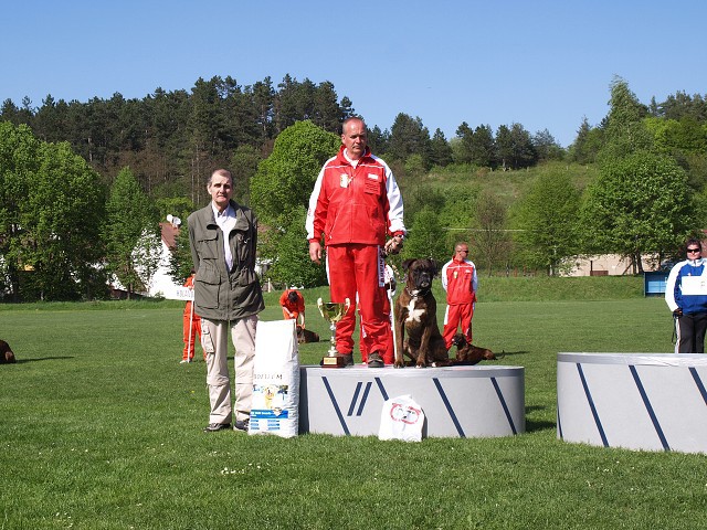 www.atibox.net * www.euroboxer.eu * www.boxergenealogia.eu